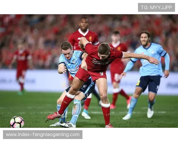 墨尔本城主场对阵纽喷气机,主场龙属性有望延续 墨尔本城主场对阵纽喷气机,主场龙属性有望延续